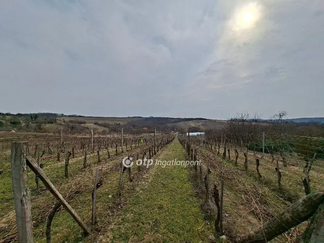 Eladó telek Lovasberény 1079 nm