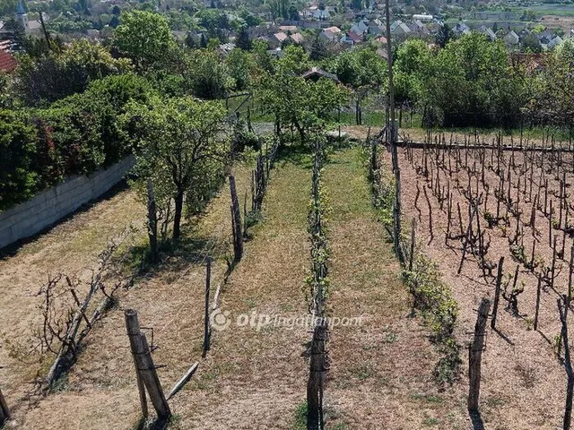 Eladó telek Pákozd 845 nm