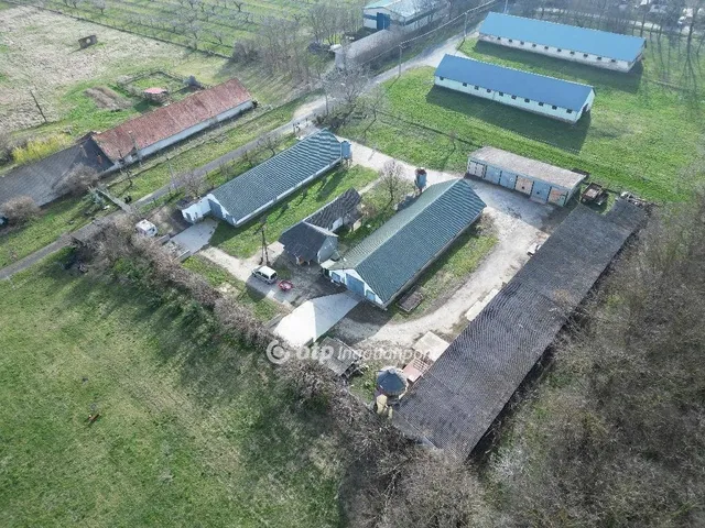 Eladó mezőgazdasági ingatlan Gárdony 1054 nm