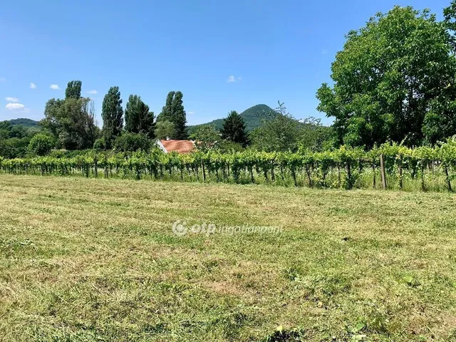 Eladó telek Badacsonytomaj 2008 nm