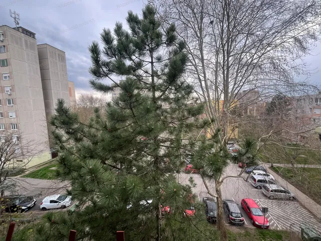 Kiadó lakás Oroszlány 54 nm