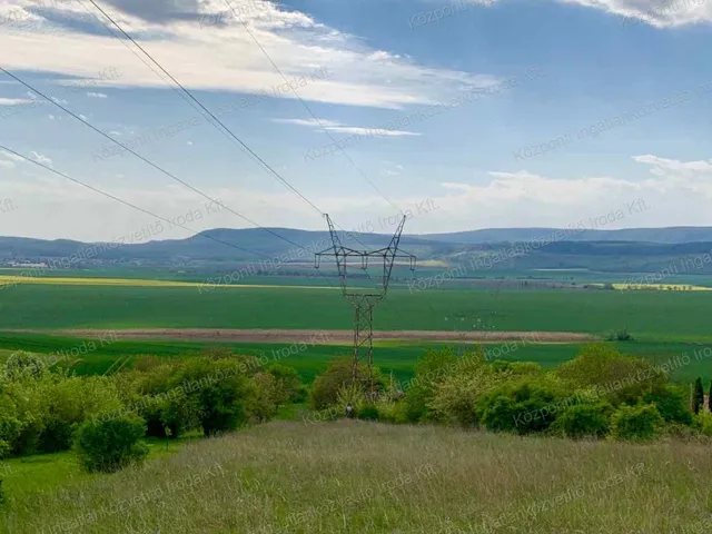 Eladó mezőgazdasági ingatlan Héreg 5679 nm