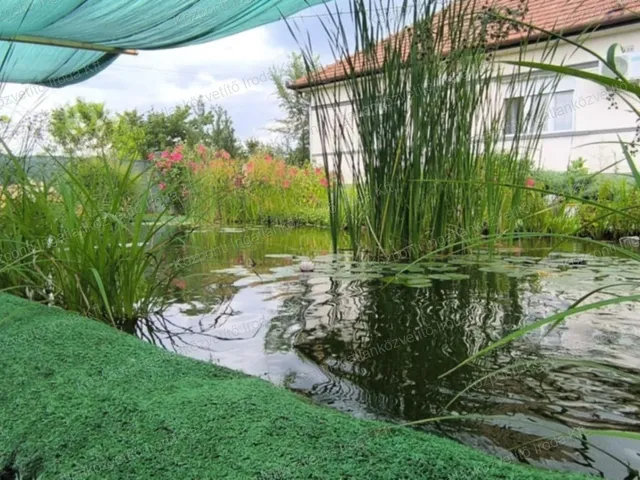 Eladó mezőgazdasági ingatlan Táborfalva 120 nm