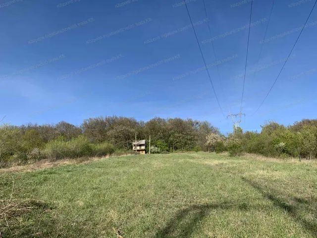 Eladó mezőgazdasági ingatlan Héreg 5679 nm