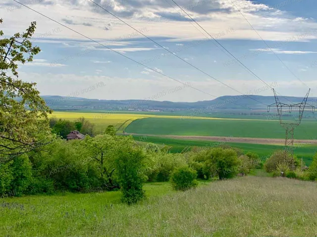 Eladó mezőgazdasági ingatlan Héreg 5679 nm