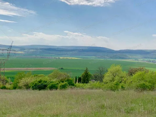 Eladó mezőgazdasági ingatlan Héreg 5679 nm