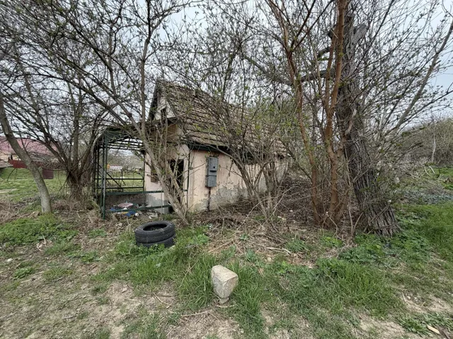 Eladó mezőgazdasági ingatlan Vértesszőlős 12 nm