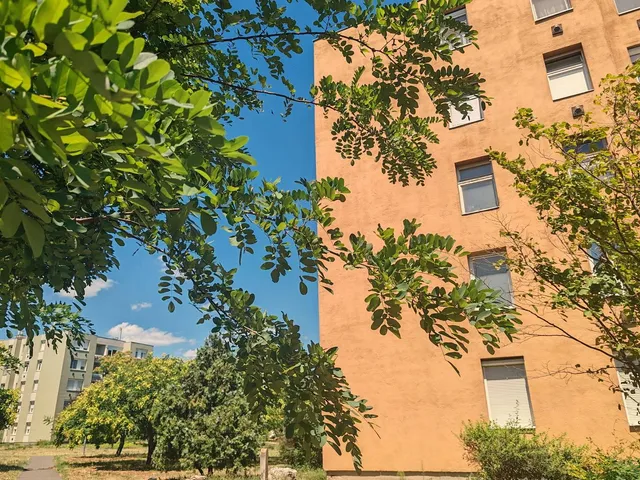 Eladó lakás Budapest XXI. kerület 61 nm