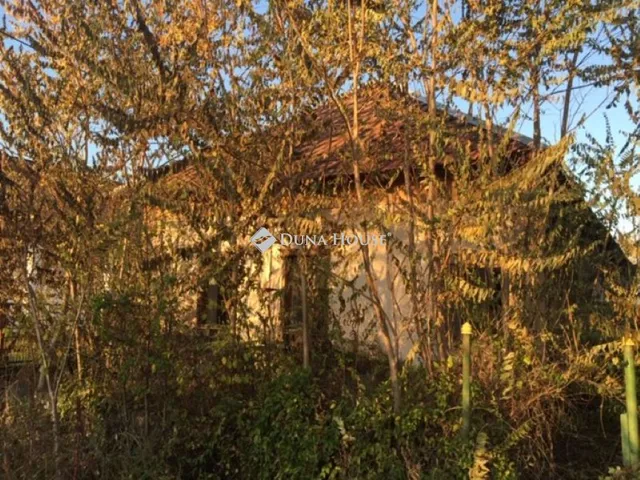 Eladó telek Mezőtárkány, Móra Ferenc út 2849 nm