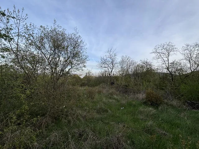 Eladó telek Dunabogdány 2054 nm