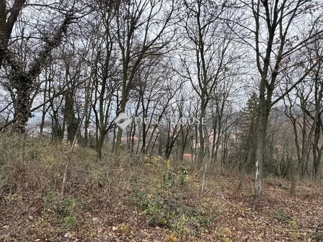 Eladó telek Törökbálint, Fácán utca 1027 nm