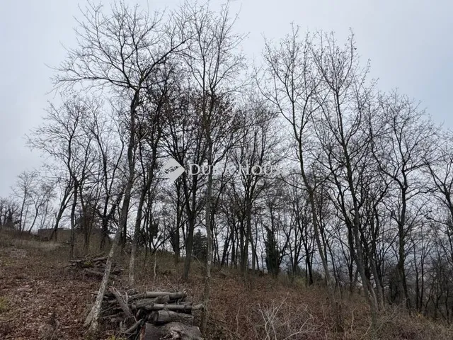 Eladó telek Törökbálint, Fácán utca 1027 nm