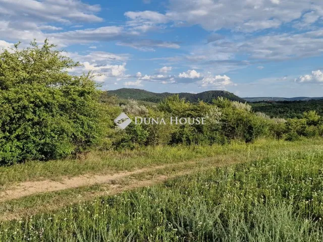 Eladó mezőgazdasági ingatlan Budakeszi 250 nm