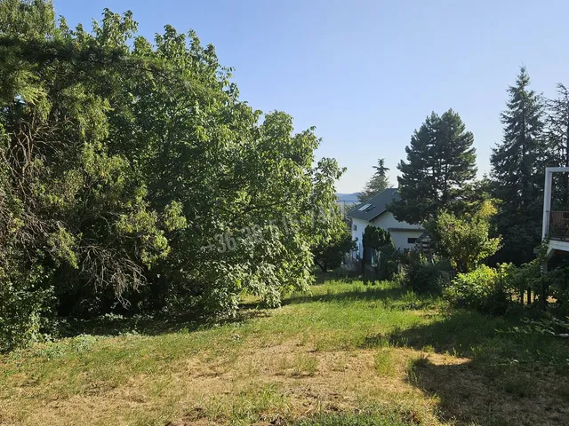 Eladó telek Budakeszi, Barackos 3800 nm