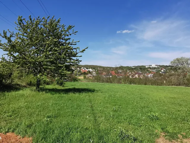 Eladó telek Budakeszi 1 nm