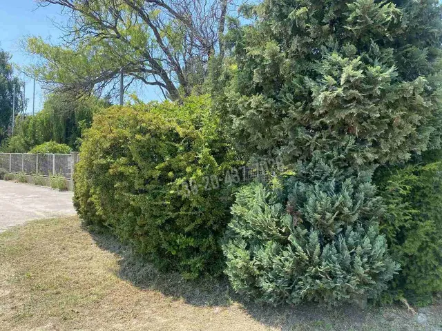 Eladó telek Dunaharaszti 6000 nm