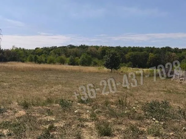 Eladó telek Budakeszi 765 nm