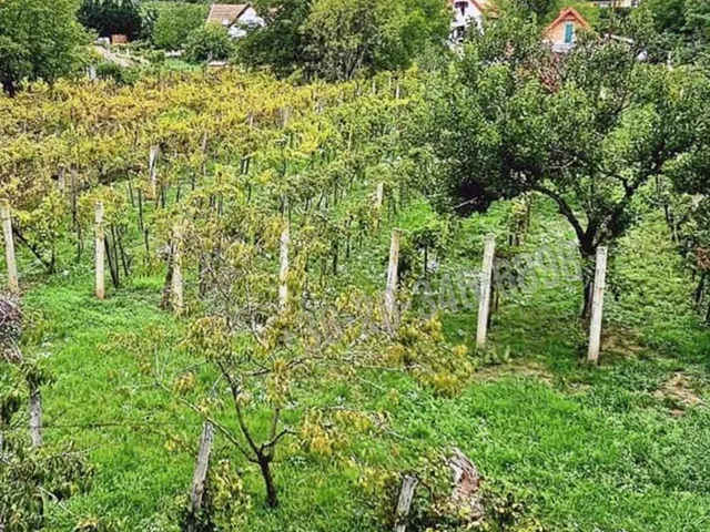 Eladó ház Csopak 103 nm