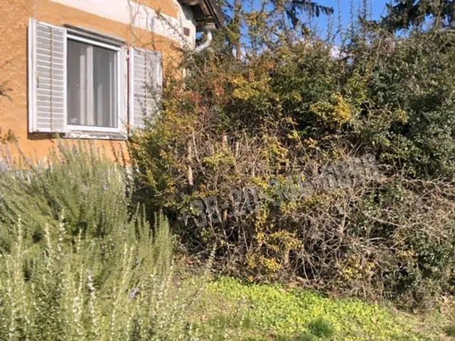 Eladó ház Csopak 128 nm