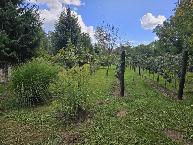 Eladó telek Pápa 867 nm