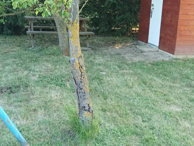 Eladó telek Pápa 765 nm