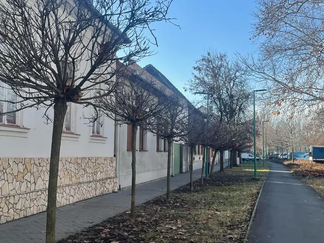 Eladó ház Makó 157 nm