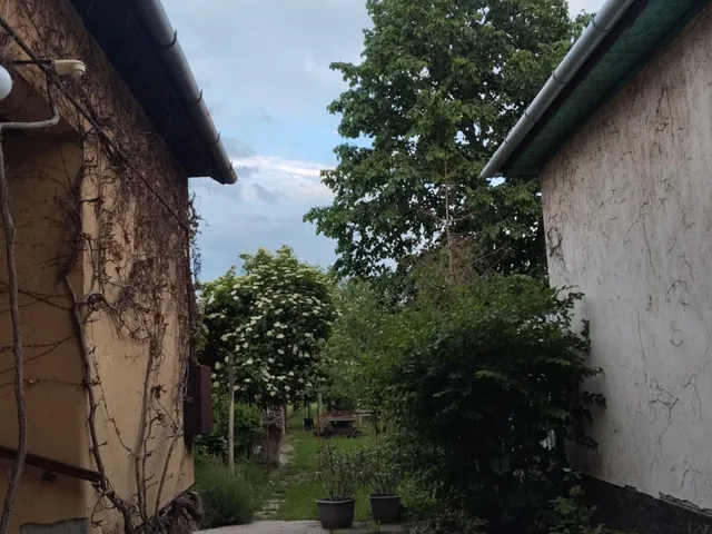 Eladó ház Csanádpalota, Petőfi u 24/a 120 nm