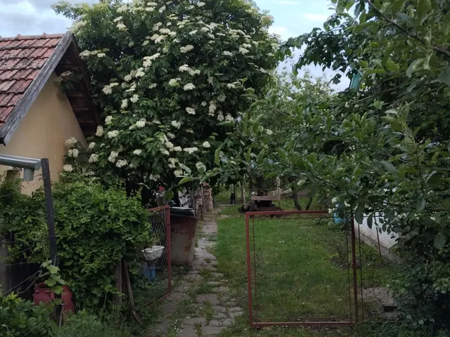 Eladó ház Csanádpalota, Petőfi u 24/a 120 nm