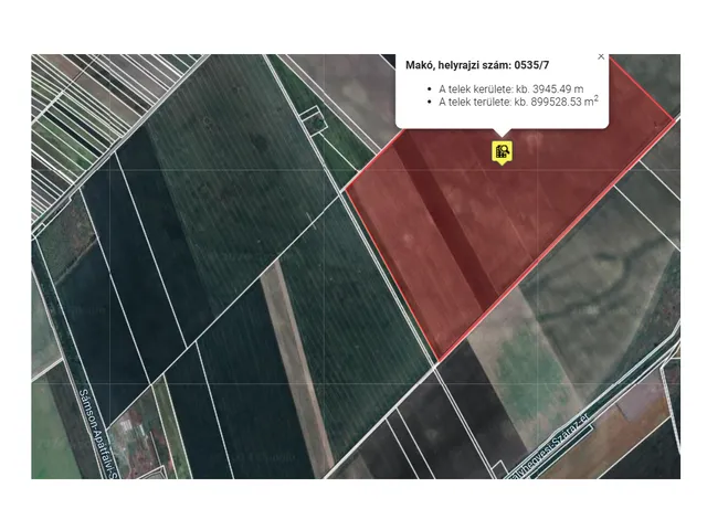Eladó mezőgazdasági ingatlan Makó 129000 nm