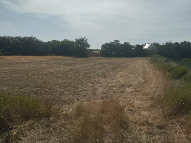 Eladó telek Makó, Dózsa-telep 10400 nm