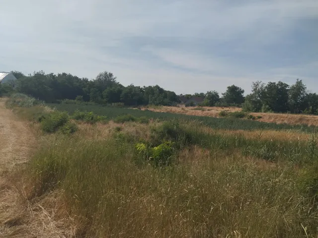 Eladó telek Makó, Dózsa-telep, 10835/2 10400 nm