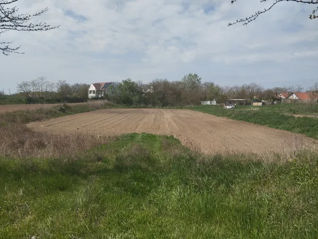 Eladó telek Makó, Dózsa-telep, hrsz 10400 nm