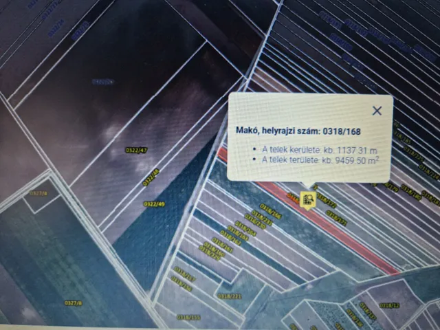 Eladó mezőgazdasági ingatlan Makó 9579 nm