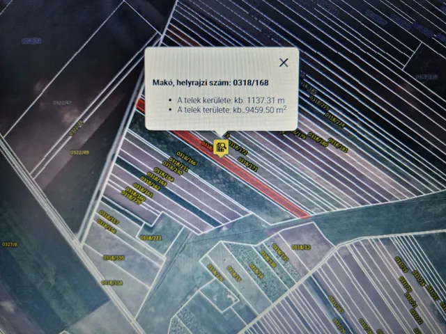 Eladó mezőgazdasági ingatlan Makó, Bogárzó 9579 nm