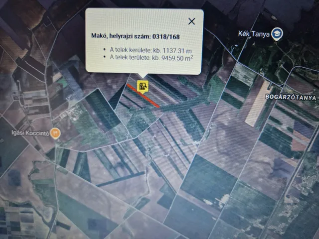Eladó mezőgazdasági ingatlan Makó, Bogárzó 9579 nm