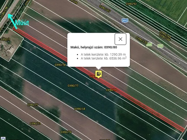 Eladó mezőgazdasági ingatlan Makó 6523 nm