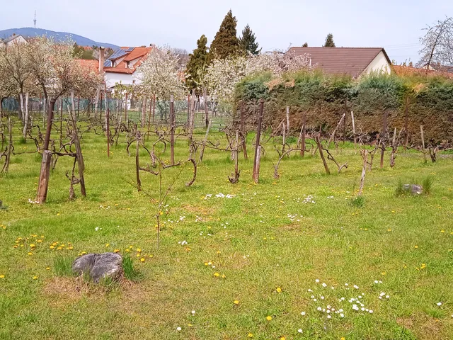 Eladó telek Pécs, Újhegy, Rezgő 1926 nm