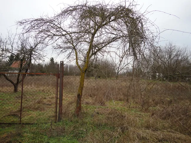 Eladó telek Nyíregyháza, Sóstóhegy 6000 nm