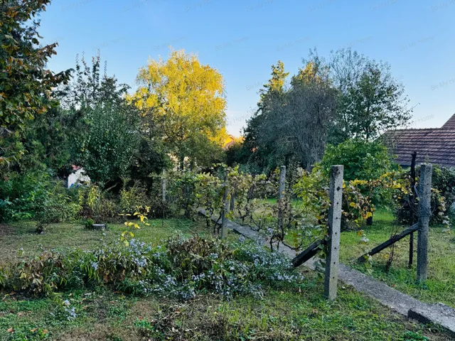 Eladó telek Budakalász, Omszk park környéke 610 nm