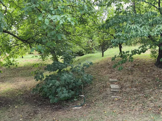 Eladó telek Budapest III. kerület, Békásmegyer-Ófalu 1090 nm