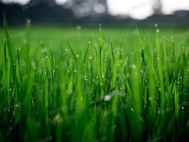 Eladó telek Őrbottyán 2400 nm