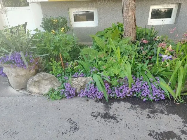 Eladó lakás Budapest III. kerület 56 nm