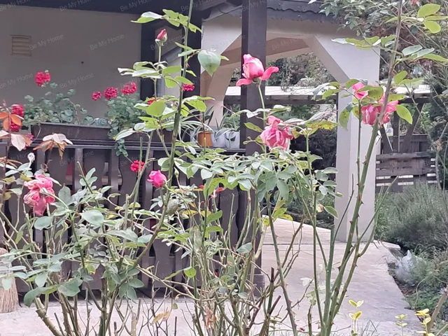 Eladó ház Visegrád 180 nm