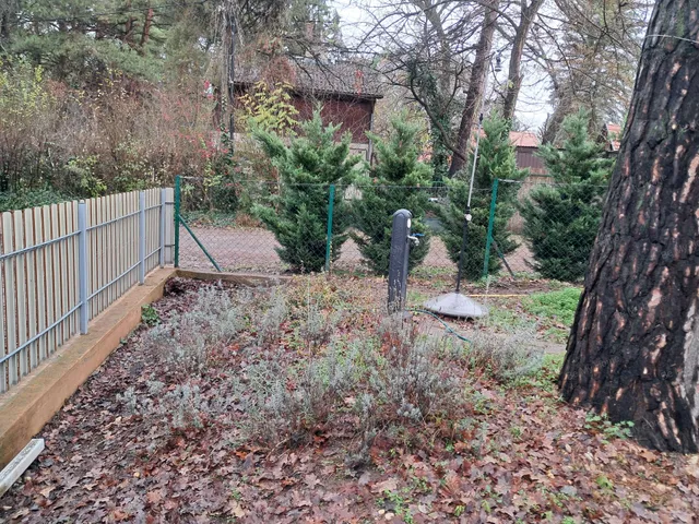 Eladó ház Szigetmonostor 80 nm