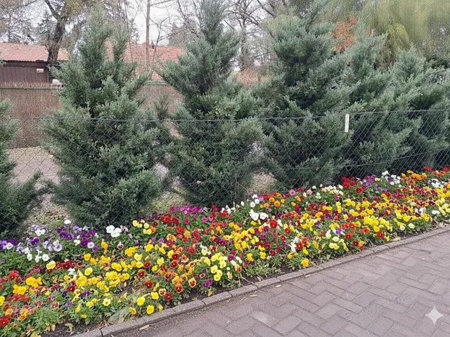 Eladó ház Szigetmonostor 80 nm