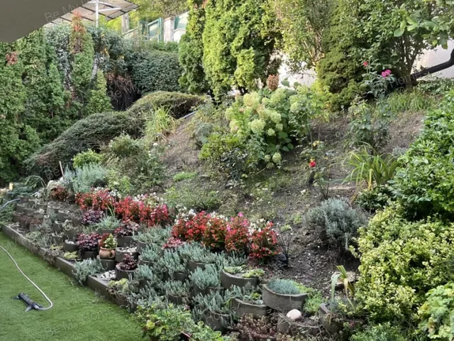 Eladó ház Budaörs, Budaörsi Kamaraerdő 330 nm