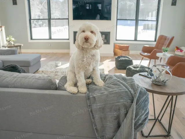 Eladó ház Őrbottyán, Vácbottyán 112 nm