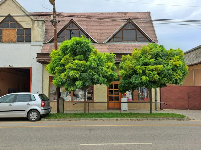 Eladó kereskedelmi és ipari ingatlan Pilis 68 nm