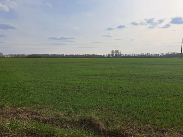 Eladó mezőgazdasági ingatlan Pilis 12014 nm