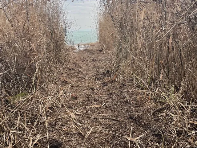 Eladó telek Balatonfüred, Fürdőtelep, Tüskésalja  1 nm